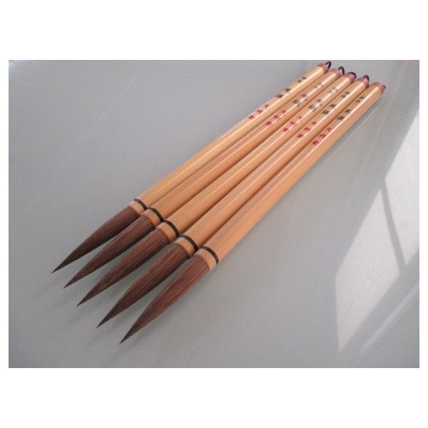  w 5{Zbg pi wp M n  K