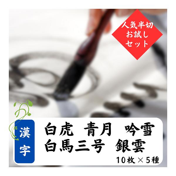 漢字向き半切 5種お試しセット2 総額6000円超 白虎 青月 吟雪 白馬三号 銀雲 計50枚 書道用品 条幅