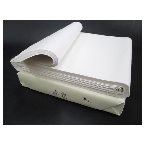 条幅紙 嵯峨 100枚 プリンター対応 賞状用紙 白地 横書き用 A4判 100枚入 【品番:10