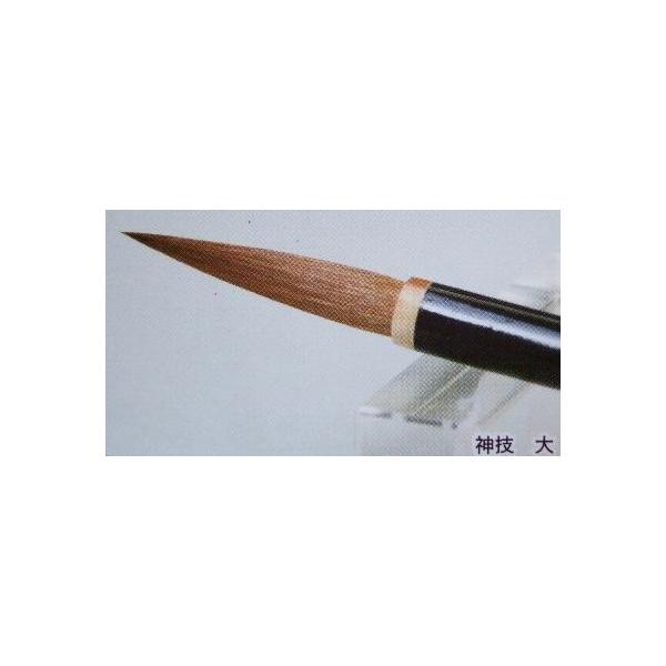 O M _Z  艿16500~ pi RXL[ ꌖ M