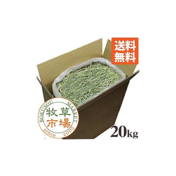 牧草市場 カナダ産 プレミアム チモシー 1番刈り 20kg袋入【sg