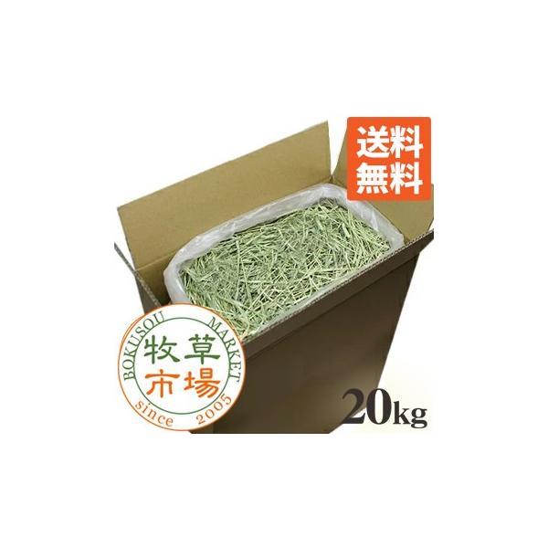 牧草市場 USチモシー 1番刈り 牧草 ダブルプレス 20kg袋入【sg】