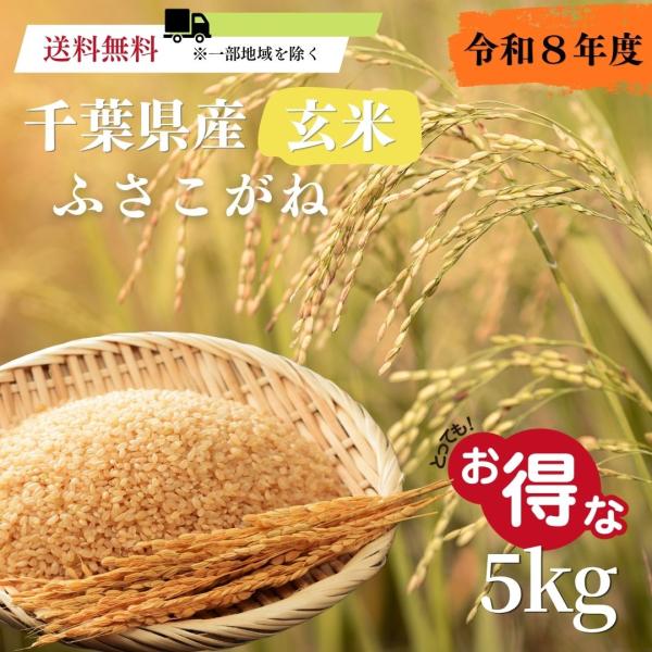 令和8年度　新米　ふさこがね（玄米）5kg　千葉県産　国産米　米　ご飯　送料無料　8月下旬販売予定！