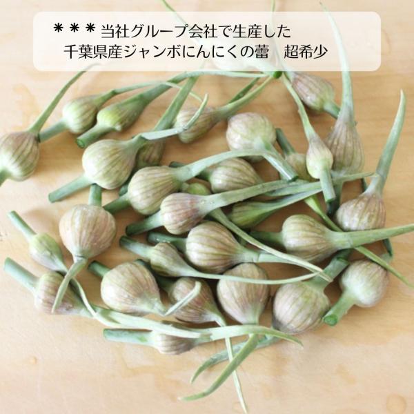 じいじのまごころ野菜…ジャンボにんにく bokuzou-shop_dokhom2
