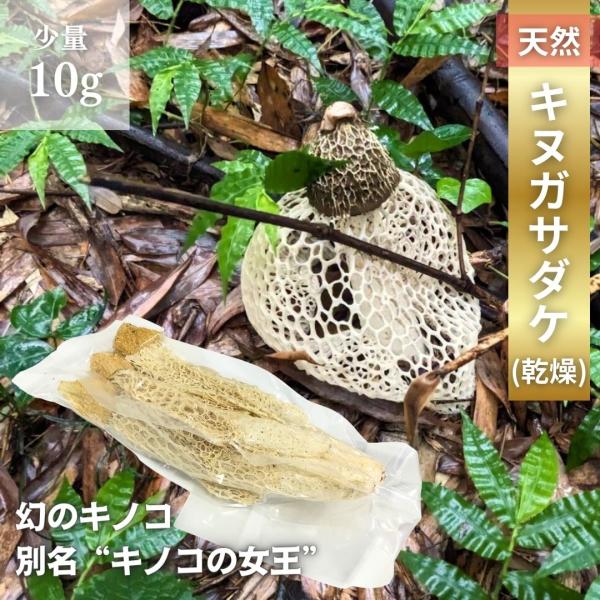 ●商品：乾燥キノコ（キヌガサダケ）●原材料：衣笠茸（国産）●内容量：10g●保存方法：直射日光や高温多湿の場所を避けて常温で保存して下さい。　　　　　　開封後は、なるべくお早めにご使用下さい。