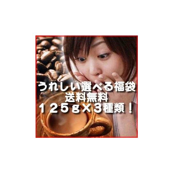 送料無料選べるコーヒー福袋125g×３種類【ネコポス便発送】【日時指定不可】・お好きなコーヒー豆をお選びください（3種類×125g）（オプションで4種類選ぶことができまるようになりました。）全国送料無料ネコポス便でお届けします通常商品との同...