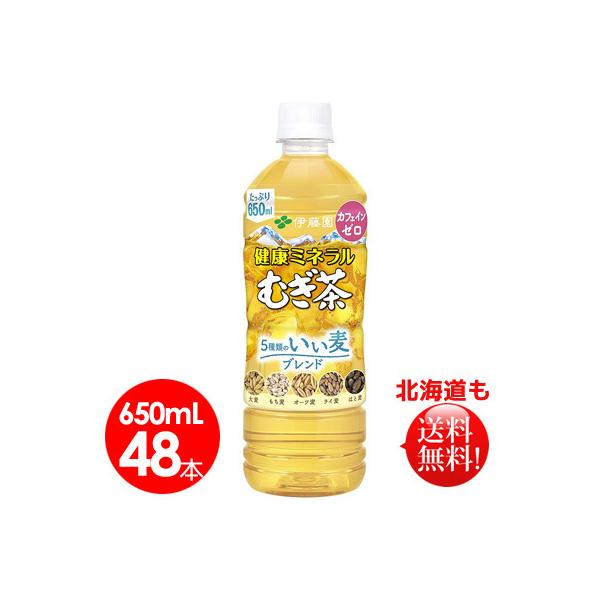 伊藤園　健康ミネラルむぎ茶 5種類のいい麦ブレンド PET 650ml 48本　送料無料
