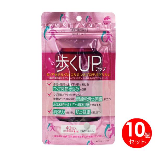 10個セット　歩くアップ　歩くUP　N-アセチルグルコサミン　プロテオグリカン　機能性表示食品