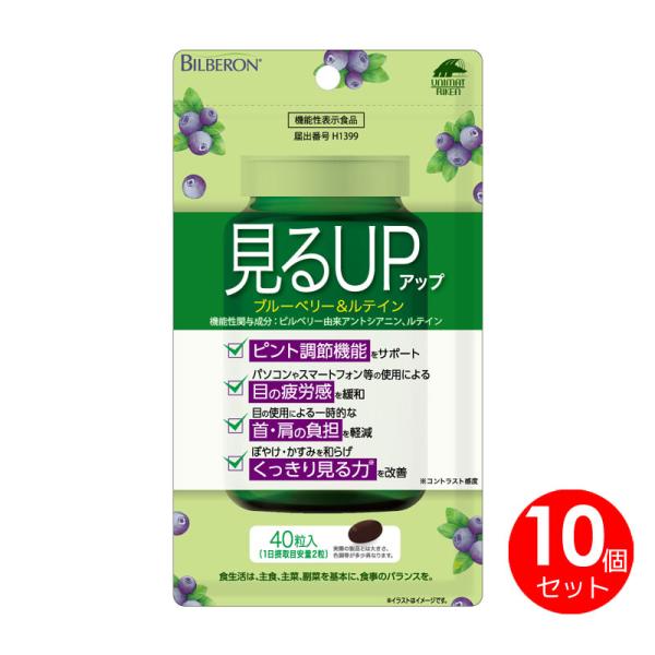 10個セット　見るアップ 見るUP　ブルーベリー＆ルテイン　ビルベリー由来アントシアニン　機能性表示食品