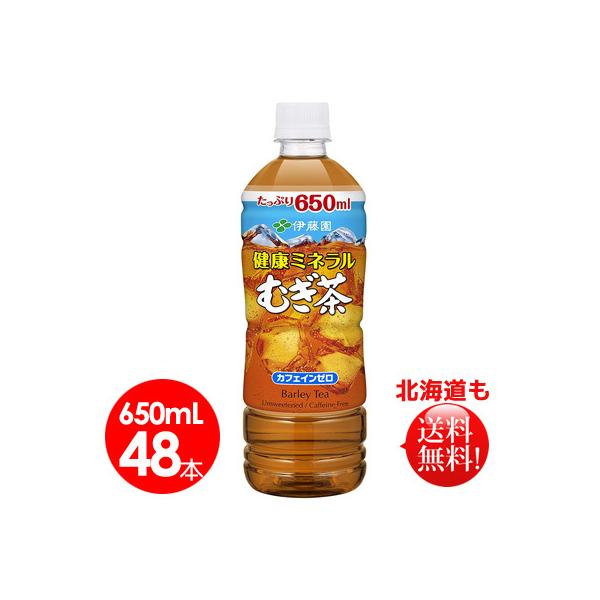 伊藤園　健康ミネラルむぎ茶 PET 650ml  48本　送料無料