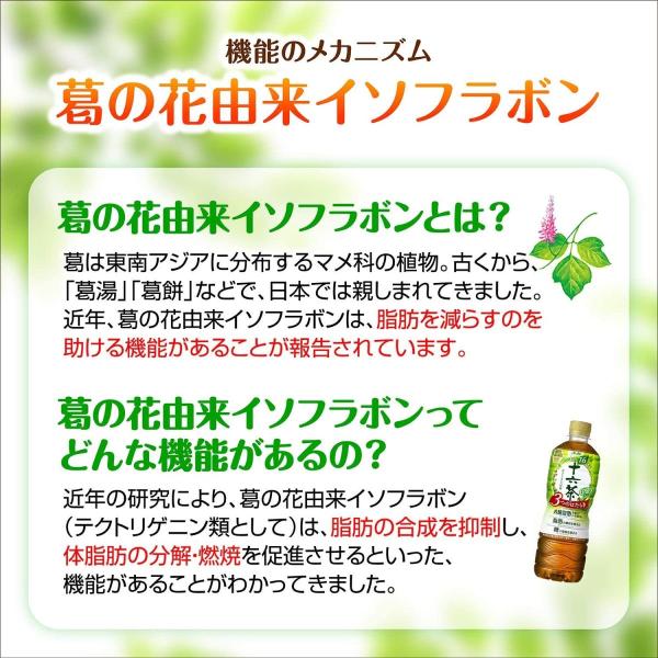 アサヒ飲料 十六茶プラス2l 2リットル 6本セット 機能性表示食品 送料無料 Buyee Buyee 일본 통신 판매 상품 옥션의 대리 입찰 대리 구매 서비스