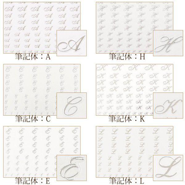 在庫限品 Bonzs ネイルシール イニシャル アルファベット ハート Bonnail アルファベットシール筆記体シルバー A0041 Buyee Buyee Japanese Proxy Service Buy From Japan Bot Online