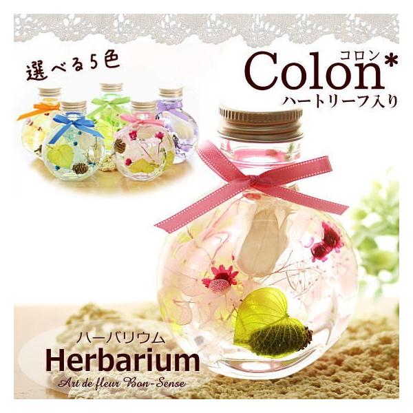 n[oE Herbarium R n[g[t AW{ Mtg vU[uht[ hCt[ [n[oE]