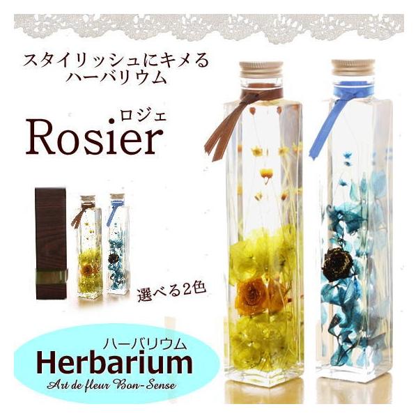 uRosier WFv V n[oE Mtg  vU[uht[ AW{ v[g [n[oE]