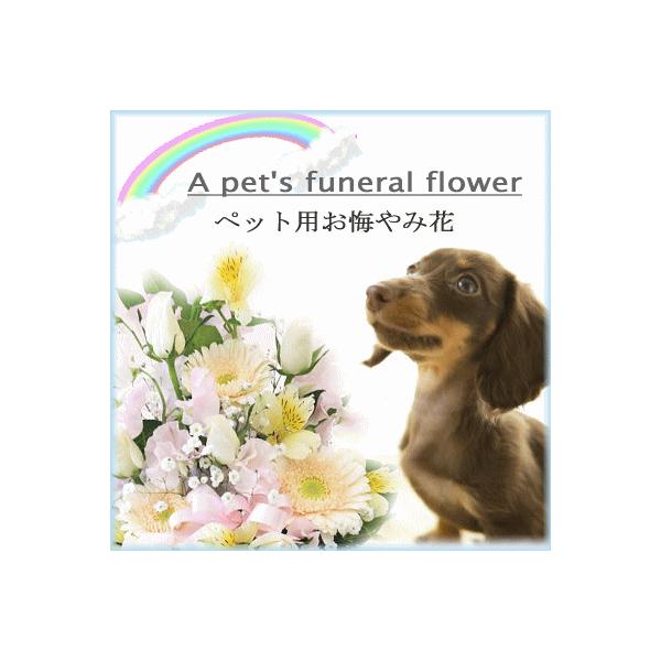 ペット専用 選べる お供えの花 アレンジメント :os-pet:花 フラワーギフト ボンサーンス - 通販 - Yahoo!ショッピング ペット専用 選べる お供えの花 アレンジメント :os-pet:花 フラワーギフト ボンサーンス - 通販 - Yahoo!ショッピング