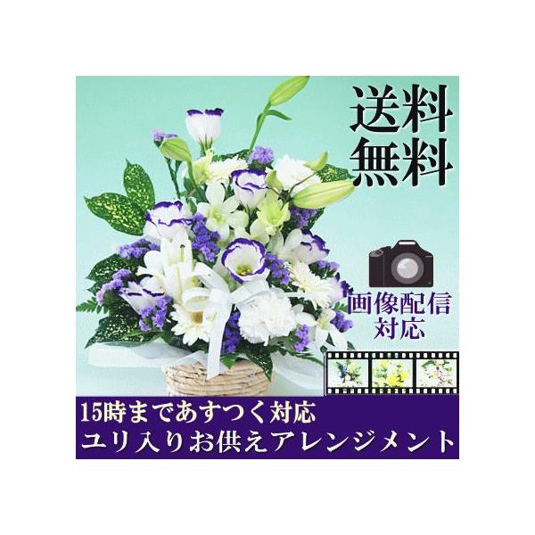    ފ 䋟 Iׂ G߂̂Ԃł܂  AWg S  @v l\ 49    [ԃAWg]