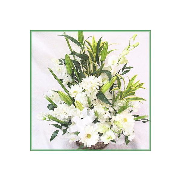   ~    ~  t[AWgWW001  [ԃAWg]