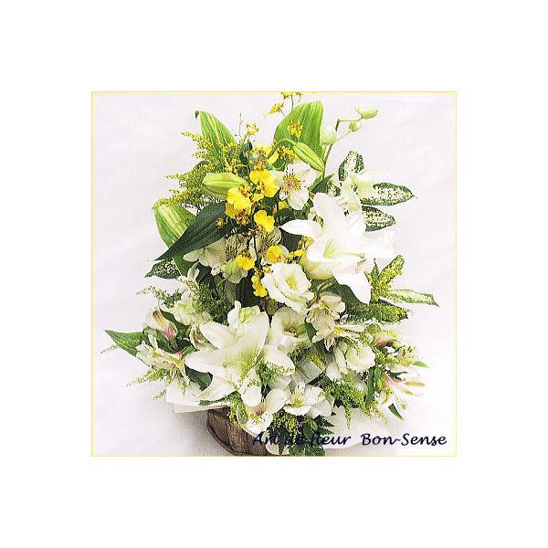   ~    ~  t[AWgWY002  [ԃAWg]