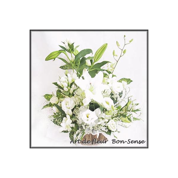   ~   t[AWgWW009  [ԃAWg]