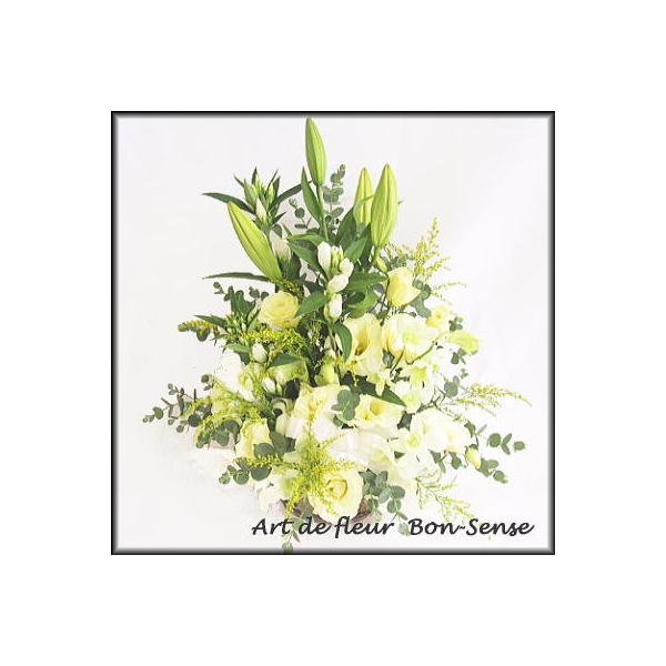   ~   t[AWgWC017  [ԃAWg]