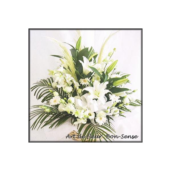   ~   t[AWgWW022  [ԃAWg]