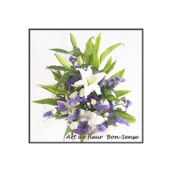   ~   t[AWgMW023  [ԃAWg]