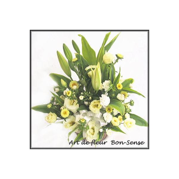   ~   t[AWgYW024  [ԃAWg]