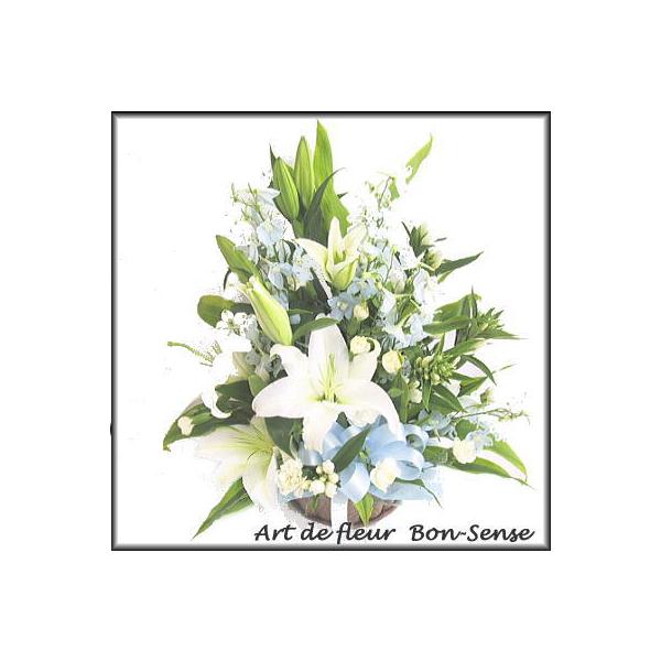   ~   t[AWgWB025  [ԃAWg]