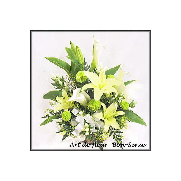   ~   t[AWgYW027  [ԃAWg]