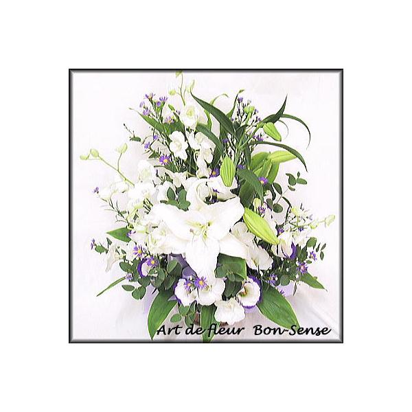   ~   t[AWgWM035  [ԃAWg]