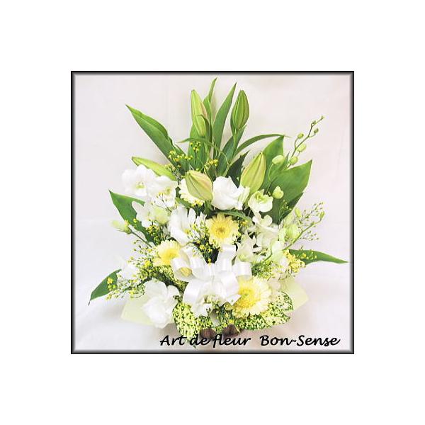   ~   t[AWgWY037  [ԃAWg]