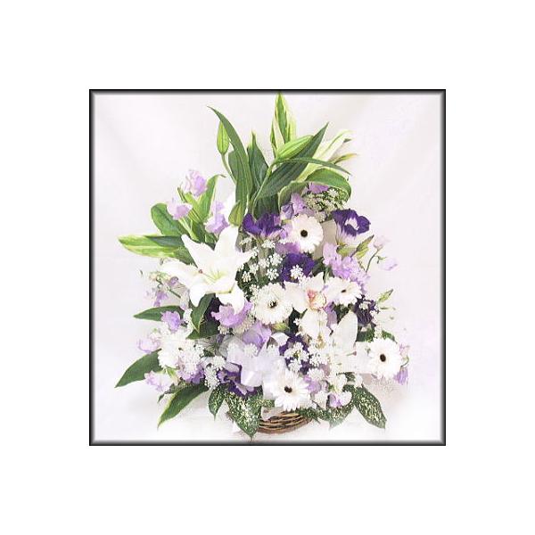   ~   t[AWgWM042  [ԃAWg]