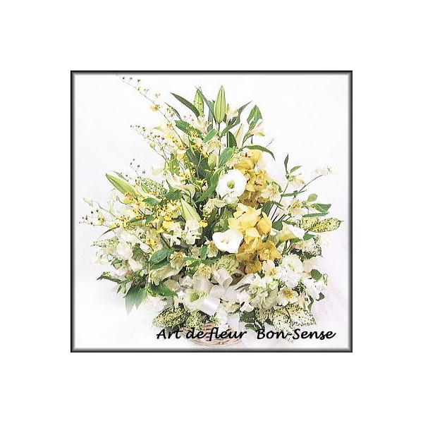   ~   t[AWgYW047  [ԃAWg]