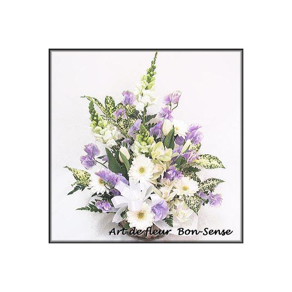   ~   t[AWgWM049  [ԃAWg]