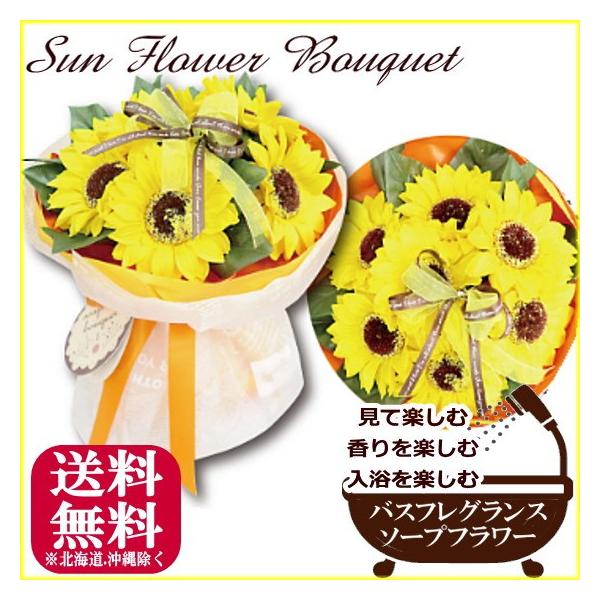 oXtOXЂ܂u[Pԑ \[vt[  Mtg v[g  [\[vt[]