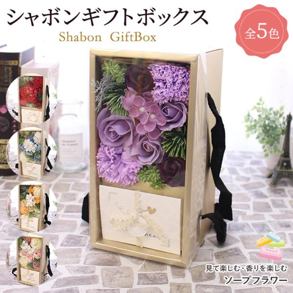 bon-sense_so-017n