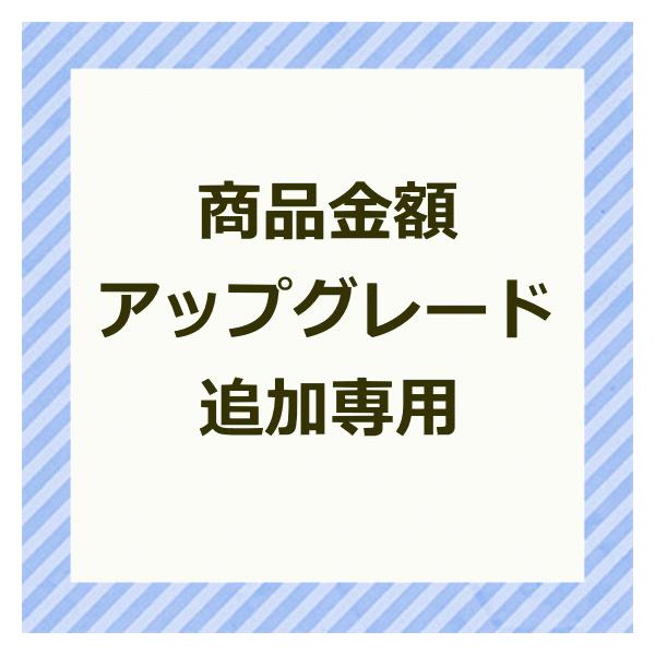 [アップグレード] 455円（税込500円）