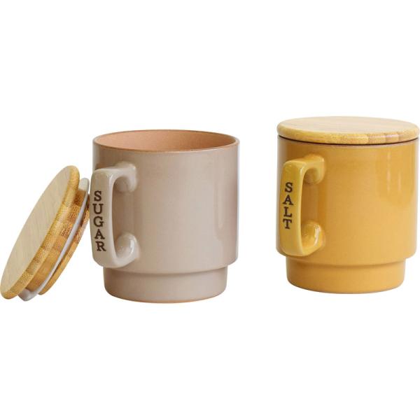 ドライキャニスターピュア 040311 食品保存 砂糖 塩 2個セット