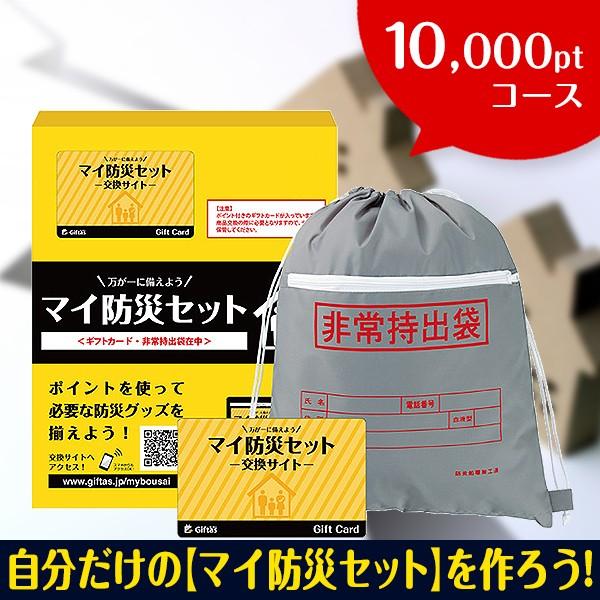 }ChЃZbg 10.000ptR[X hЃZbg 펝oZbg fړ_300_ȏ