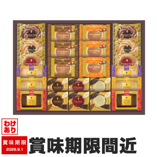 訳あり ガトーセック24個 NGS-40 スイーツ 焼き菓子詰め合わせ 賞味期限間近