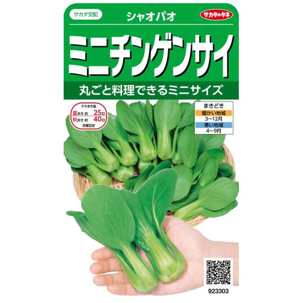 他サイト： サカタのタネ 実咲野菜3303 ミニチンゲンサイ シャオパオ 00923303の商品画像