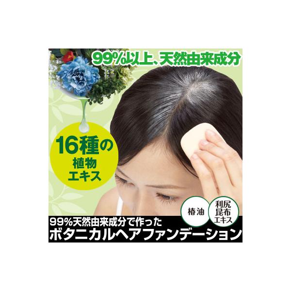 99%天然由来成分で作ったボタニカルファンデーション【ポスト投函送料無料】利尻昆布エキス 椿油 白髪 部分白髪 薄毛 髪の毛 生え際 分け目