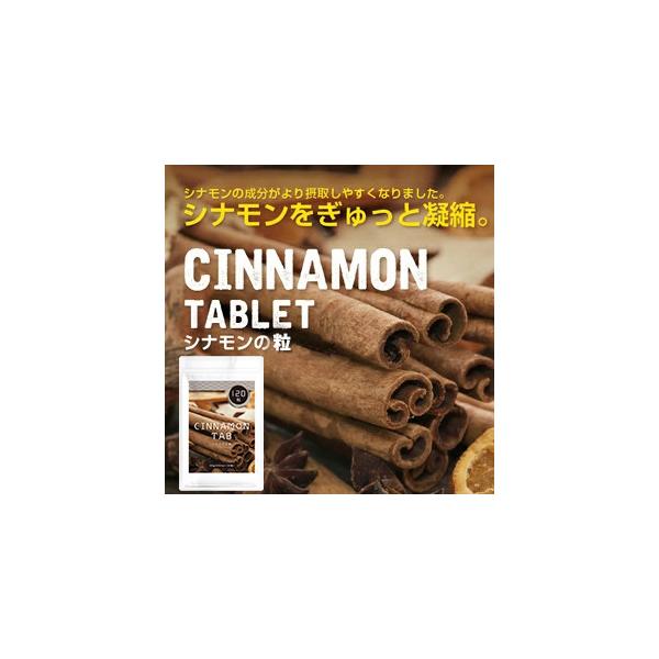 シナモンの粒【メール便送料無料】サプリメント サプリ 健康食品 Tie2 ニッキ ケイヒ 桂皮 スーパーフード
