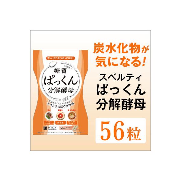 XxeB SVELTY ς񕪉y 56y[֑z