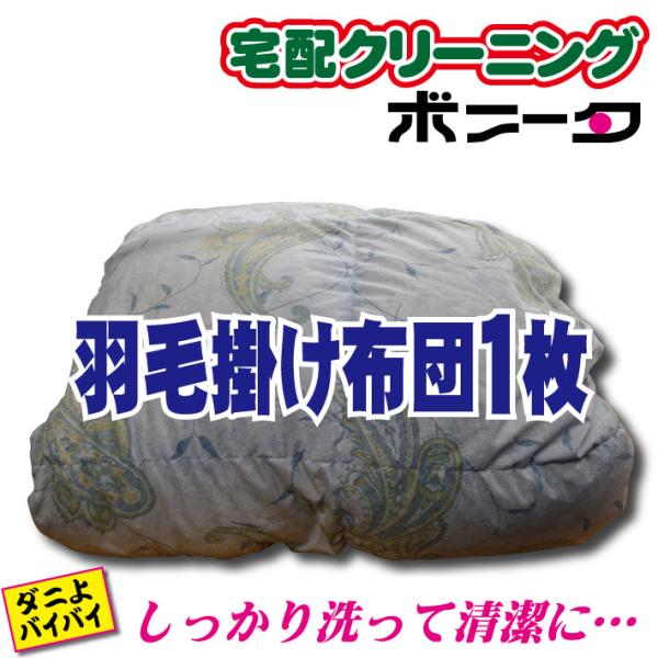クリーニング 宅配 羽毛掛け布団シングル１枚 です。（ブロガーさん推薦）羽毛掛け布団を丸洗いして、汗やダニを退治しましょう！プロ専用の洗剤で羽毛掛け布団も清潔に・・・。クリーニングならボニータ店へ