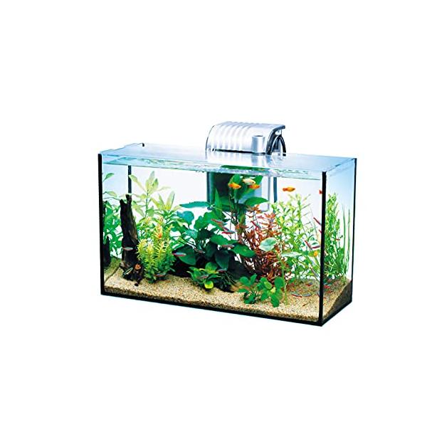 テトラ (Tetra) ガラス 水槽 オールグラスアクアリウム GA-420F テトラ (Tetra) ガラス 水槽 オールグラスアクアリウム GA-420F