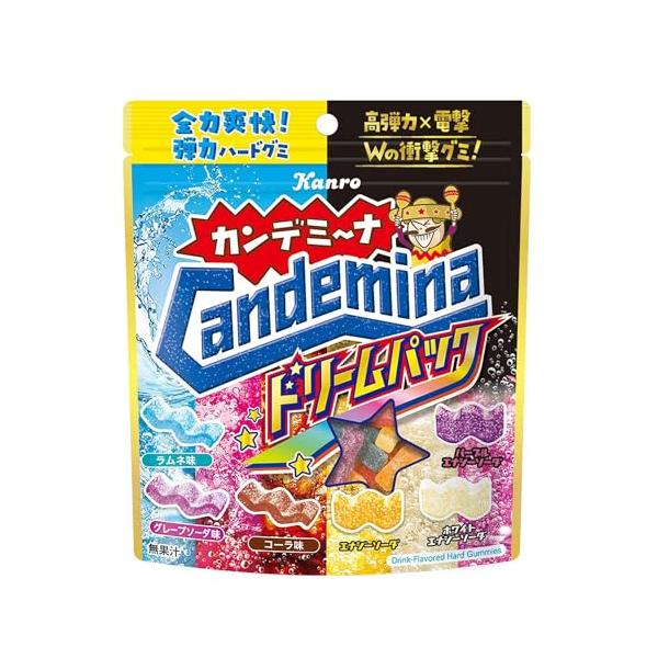 「カンロ カンデミーナグミドリームパック 152g×4個」▼4570134952880▼（商品説明）-/152g×4個/4901351022306・プラスチック