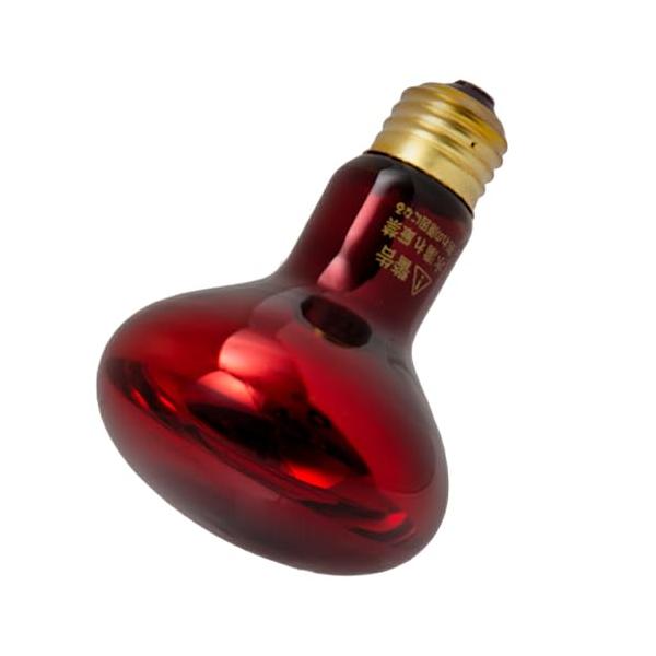 「ジェックス EXO TERRA (エキゾテラ) ヒートグロー 赤外線照射スポットランプ 100W PT2144 赤い光 トカゲ類・リクガメ等 昼」▼4972547019141▼（商品説明）100W無し/無し/4175・Style:100W...