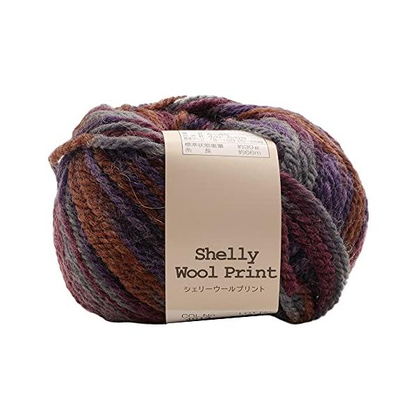 他サイト： 元廣(Motohiro) スキー 手編み毛糸 シェリーウールプリント 並太(5玉セット) Col.4013の商品画像