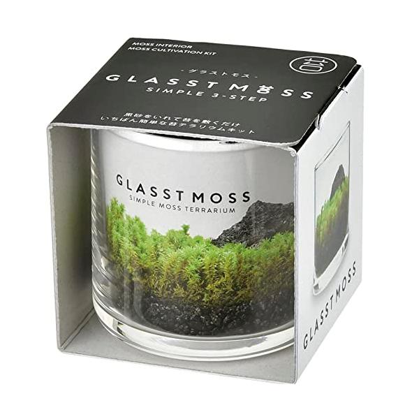 他サイト： 聖新陶芸 春 / 夏 / 秋の アクアリウム 苔テラリウム 水草 栽培キット ゆったり育てる 栽培セット ( 自由研究 ) S 鉢の径約6cmの商品画像